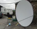 dish.webp