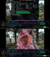 21538a-vert.webp 21538a-vert.webp