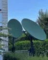 ANT 1.webp