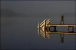 nature3.webp