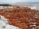 nature12.webp