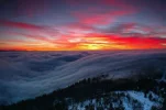 nature14.webp