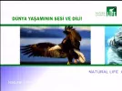 Natural_Life_Ch.webp