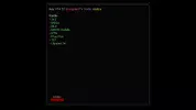 2+2 mega 4097.webp