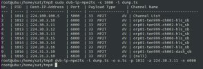 10721 H-pid 12_France 24 stream_2022-12-08_21-35.png