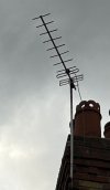 IMG_6532.jpeg IMG_6532.jpeg