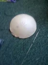 image002.webp