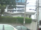 DSC00484.webp
