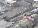 DSC00462.webp