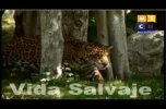 Travel Channel Latino11-24 22-53-34.webp