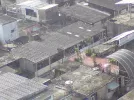 DSC00462.webp