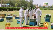 Watan HD_20240218183409.jpg