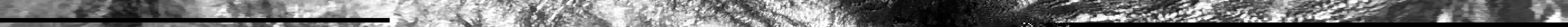 M2-3 data.jpg