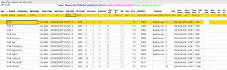 neumodVB-TVR Terrestrial_2024-04-09_14-53-19.png