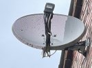 Dish2.jpg Dish2.jpg