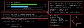 Feed del dia activo-1.webp