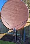 New Dish 2.webp