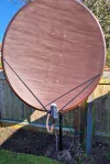 New Dish 2.webp