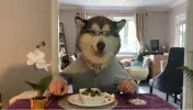 Untitled.webp