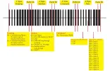 DiSEqC_1.1.webp DiSEqC_1.1.webp