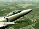 fly3.webp