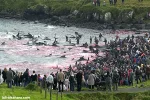 image006.webp