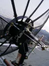 polar1.webp