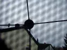 Antenne 43°W Position.webp
