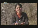 roj.webp