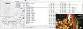 57,0° Ost 178 .webp