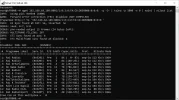 RAI.webp