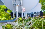 Pula-Dish2.webp