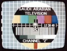 saudi_ch2_S-band_640.webp