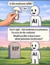 1789709621756.webp