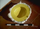 foamdish2.webp