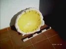 foamdish3.webp