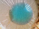 665A0306.webp