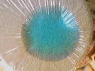 665A0306.webp