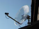 dish8.webp