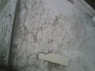 CM1.webp