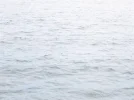 sub.webp
