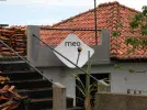 meo_dish.webp