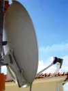 80w.webp
