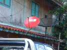 DSC00466.webp