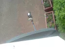 DSC01340.webp