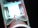 IMG00145-20090817-2156.webp