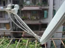 DSC07664.webp