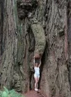 woodpecker.webp