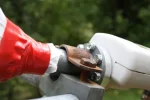 LNB%20004.webp