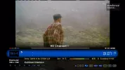 Sundance.webp